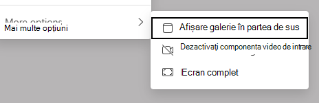 Captură de ecran cu opțiunile de vizualizare.