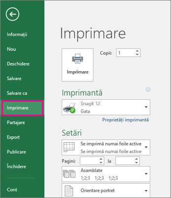 Faceți clic pe Imprimare fișier > pentru a previzualiza foaia de lucru