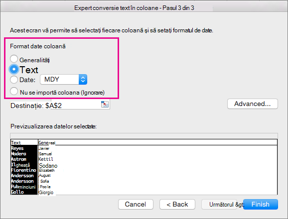 Step 3 in the wizard, Text option selected