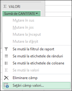 Caseta de dialog Setări câmp valori din Excel