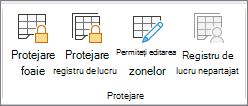 Opțiuni de protejare a registrelor de lucru