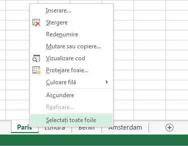 În meniul contextual, s-a selectat Selectați toate foile.