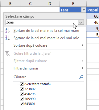Meniul Filtrare, meniul Afișați valoarea, câmpuri din tipul de date legate listate