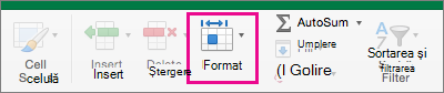 On the Home tab, Format is highlighted