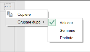 Un exemplu de comenzi suplimentare Grupare după