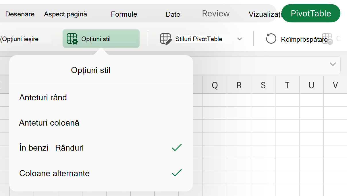 Lista verticală Opțiuni stil de pe iPad