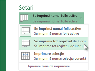 Sub Setări, faceți clic pe Se imprimă tot registrul de lucru