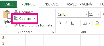 În fila Pornire, faceți clic pe Copiere