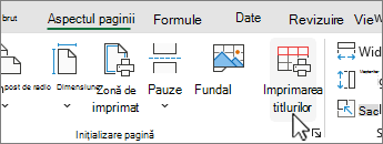 Pe fila Aspect pagină, faceți clic pe Imprimare titluri.