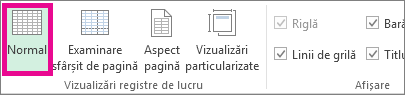 În fila Vizualizare, faceți clic pe Normal