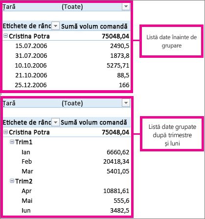 Datele care sunt grupate după luni și trimestre