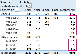 Sortare de la cel mai mare la cel mai mic după valorile din coloana Total general