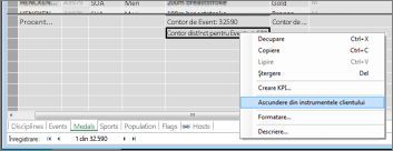 Hide a field in Power Pivot