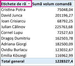 Filtru Etichetă de rând