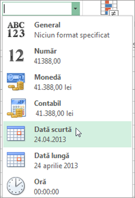 Comanda Dată scurtă din galeria Format număr