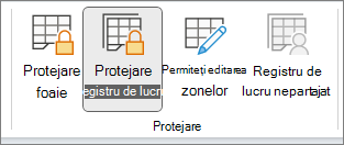 Protejare registru de lucru evidențiat
