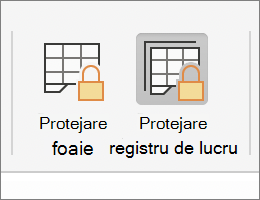 Protejare registru de lucru evidențiat în macOS