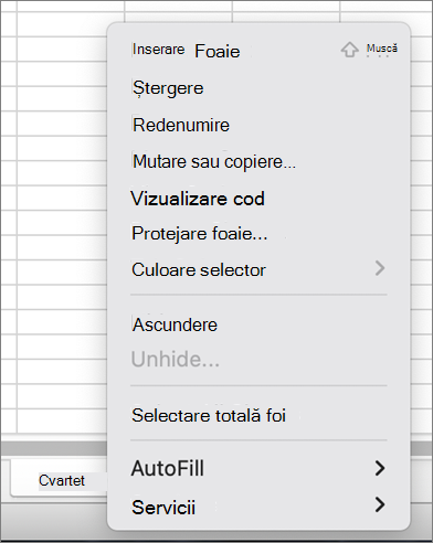 Meniul Protejare registru de lucru nu este disponibil MacOS