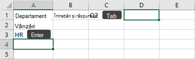 Introducerea datelor într-o celulă