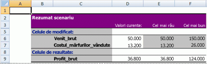 Raport rezumativ de scenariu Excel