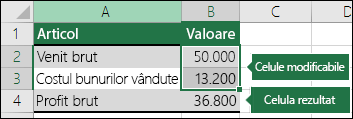 Scenariu - Configurarea unui scenariu cu celule modificabile și Rezultat