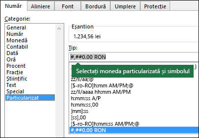 Funcția TEXT - monedă particularizată cu simbol