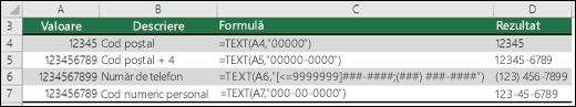 Formate speciale pentru funcția TEXT