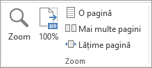 Zoom group on the View tab