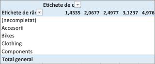 PivotTable fără valori utile