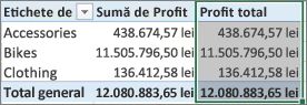 PivotTable