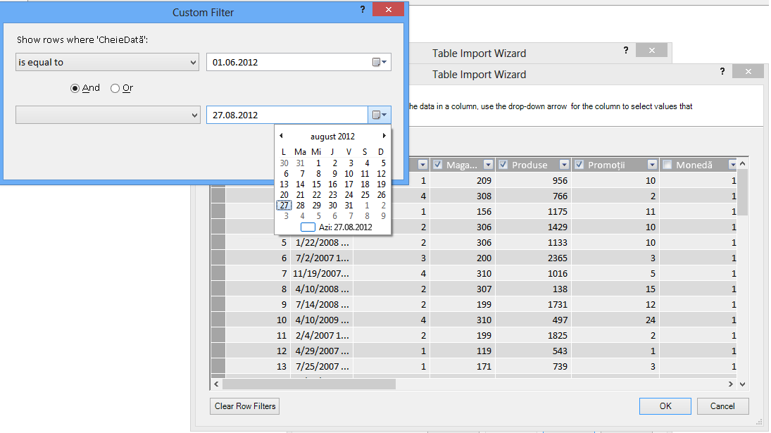 Panoul Filter în Table Import Wizard