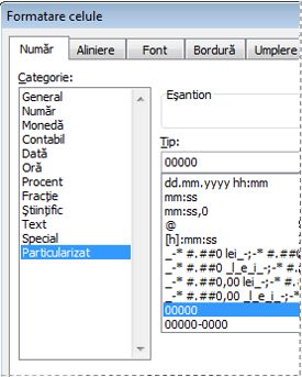 Custom category in Format Cells dialog box