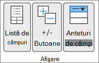 Imagine Panglică Excel
