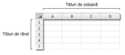 Titlurile de rânduri sau coloane în registrul de lucru