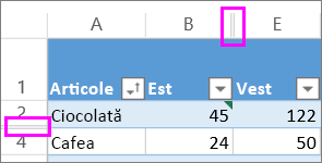 liniile duble între rânduri și coloane indică rânduri sau coloane ascunse