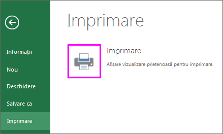 Examinare înaintea imprimării