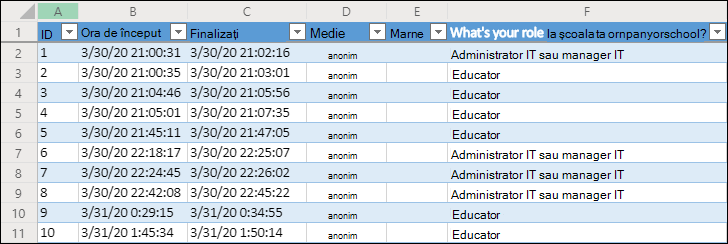 Registru de lucru Excel afișând rezultatele anchetei
