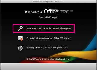 Office for mac activate screen