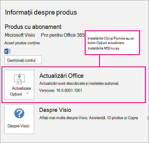 Instalările Clic și Pornire au un buton Opțiuni actualizare pe pagina Cont. Instalările bazate pe MSI nu au acest buton.