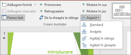 Afișează opțiunea Aspect din Instrumente SmartArt