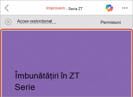 Captură de ecran a unei bare de business cu un buton de Acces restricționat pentru mesaje și permisiuni.