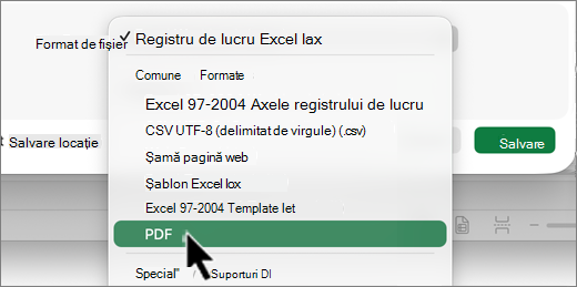 Captură de ecran a selecției tipului de fișier Mac.