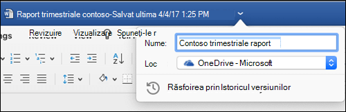 Caseta de dialog Operațiuni fișier lansată după ce faceți clic pe bara de titlu a unui document Word.