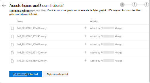 Captură de ecran cu ecranul Faceți aceste fișiere să arate corect de pe site-ul web OneDrive