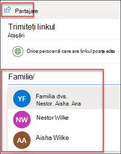 Fereastra Partajare OneDrive
