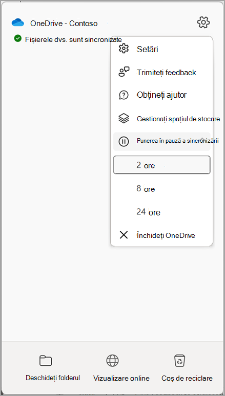 Setări OneDrive Puneți în pauză sincronizarea