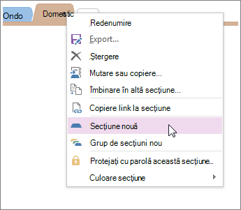 Adăugați o secțiune nouă în OneNote.