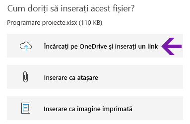 Opțiuni de inserare a fișierelor în OneNote pentru Windows 10