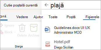 Selectați Files pentru a vedea rezultatele căutării doar cu atașări.
