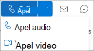 Captură de ecran a listei verticale Apel din cartea de vizită Outlook